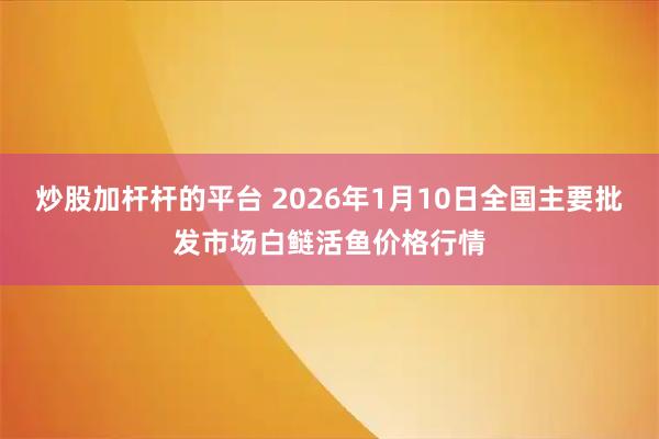 炒股加杆杆的平台 2026年1月10日全国主要批发市场白鲢活鱼价格行情