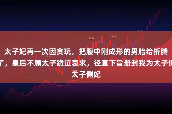 太子妃再一次因贪玩，把腹中刚成形的男胎给折腾没了，皇后不顾太子跪泣哀求，径直下旨册封我为太子侧妃