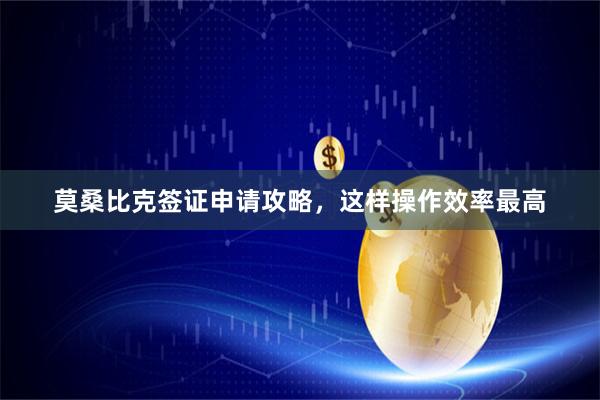 莫桑比克签证申请攻略，这样操作效率最高