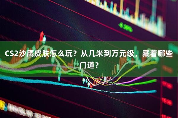 CS2沙鹰皮肤怎么玩？从几米到万元级，藏着哪些门道？