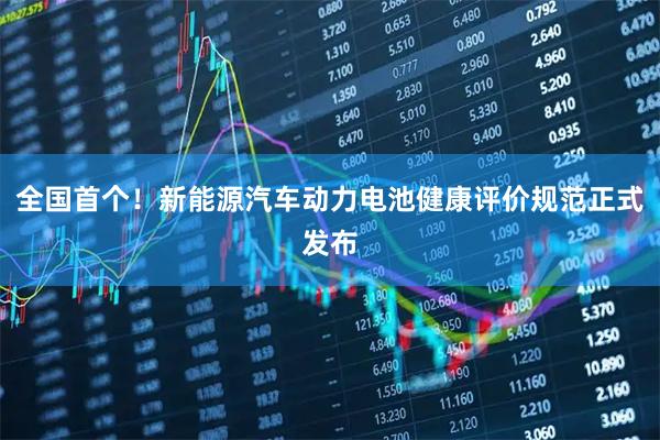 全国首个！新能源汽车动力电池健康评价规范正式发布