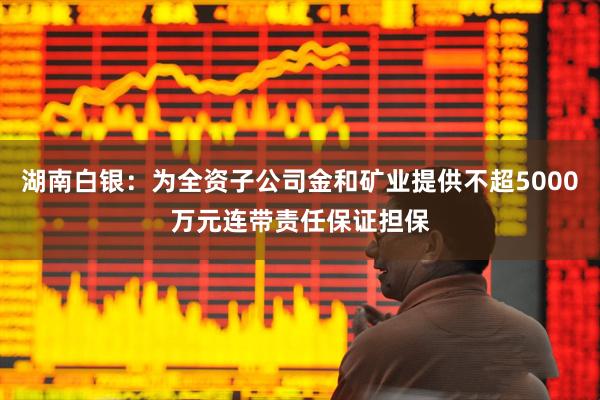 湖南白银：为全资子公司金和矿业提供不超5000万元连带责任保证担保