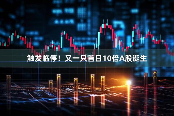 触发临停！又一只首日10倍A股诞生