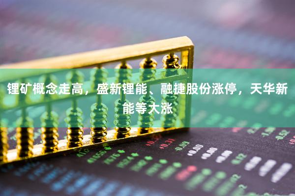 锂矿概念走高，盛新锂能、融捷股份涨停，天华新能等大涨