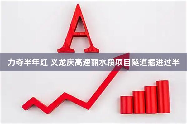 力夺半年红 义龙庆高速丽水段项目隧道掘进过半